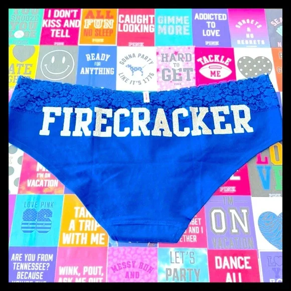 💕ⓅⒾⓃⓀ ⓋⓈ Extra Low Rise Hipster Panties NWT💕